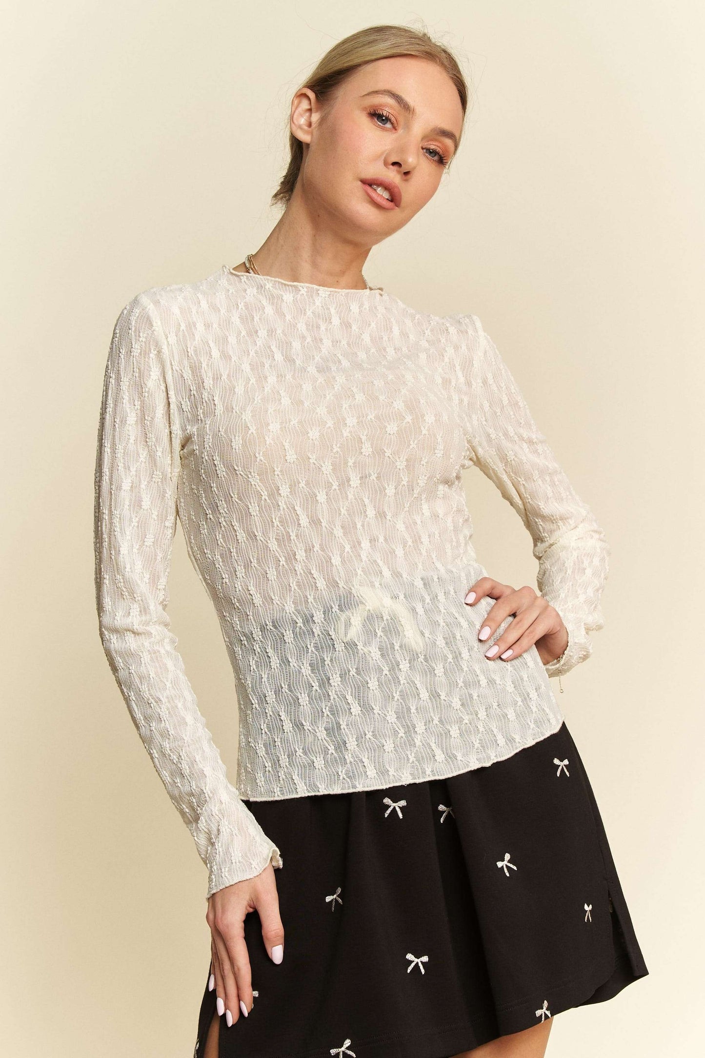 Sheer Long Sleeve Top