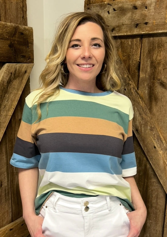 Multi Color Stripe Casual Shirt